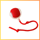 Bola Inteligente para Pets – Brinquedo Interativo Automático Recarregável
