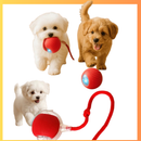 Bola Inteligente para Pets – Brinquedo Interativo Automático Recarregável