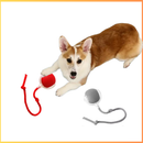 Bola Inteligente para Pets – Brinquedo Interativo Automático Recarregável