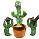 Cacto Jerry Dançante - Loja STERS.Mey