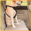 Cinto de Segurança para Animais de Estimação - Loja STERS.Mey
