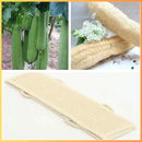 Esponja de Banho para Costas - Loja STERS.Mey