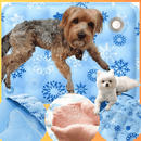 ❄️ Tapete Gelado para Pet – Alívio Térmico Imediato, Impermeável e Seguro para Cães e Gatos - Loja STERS.Mey