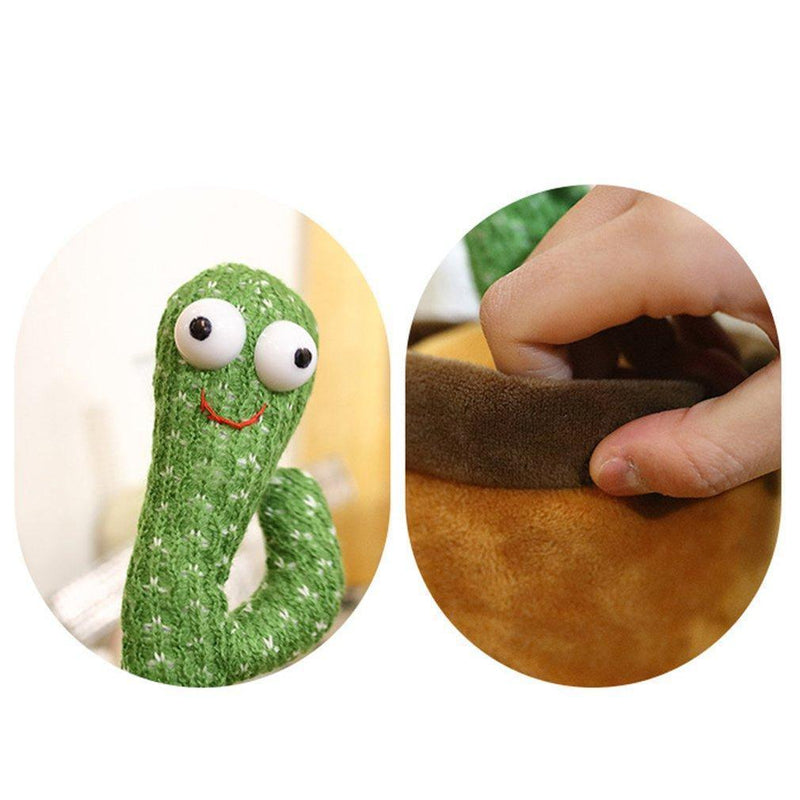 Cacto Jerry Dançante - Loja STERS.Mey