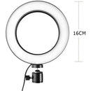 Ring Light com Tripé - -LED - Loja STERS.Mey